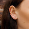Faceted Circle Stud Earrings